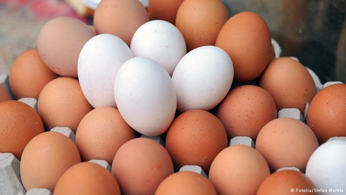 سم قاتل : احذر تناول ‘‘البيض’’ في هذه الحالات حتى لو كنت تتضور من الجوع !