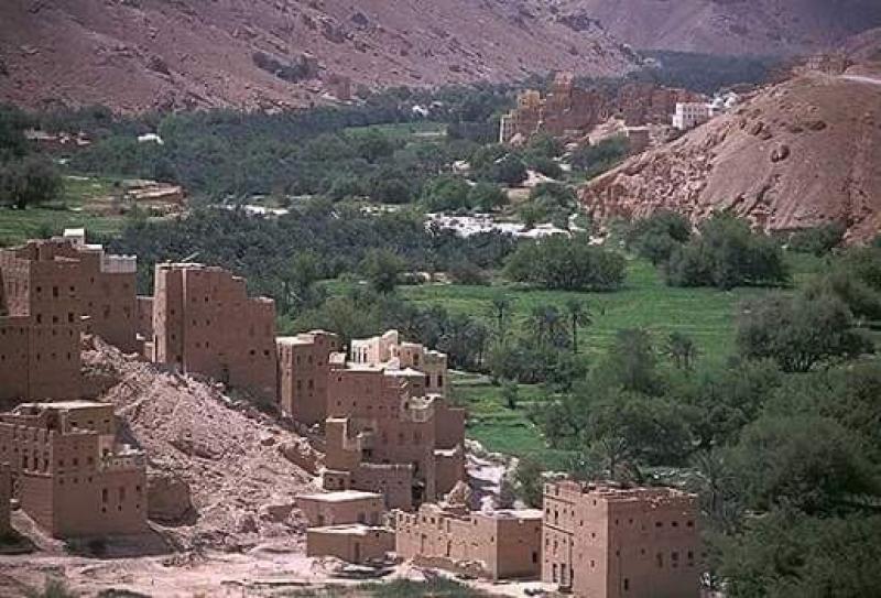 بدعم دولي.. أول محافظة يمنية تستعد لزراعة القمح وتغطية احتياجات اليمن