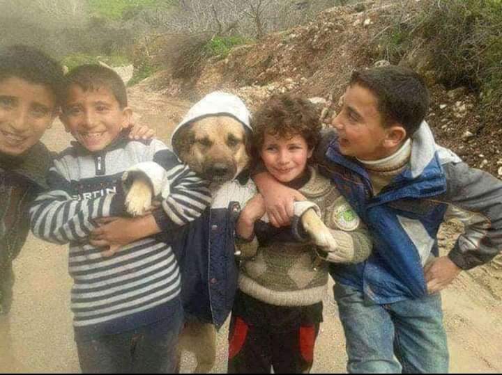 أطفال اليمن يلتقطون صورة جماعية مع كلب أنتشرت بشكل واسع في مواقع التواصل