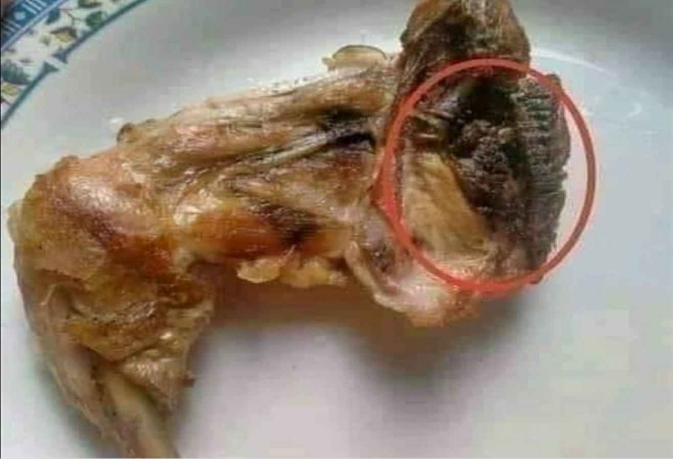 احذر من هذا الجُزء في الدجاج يجب التخلُص منه على الفور وتطهير مكانه لخطورته على الجسم