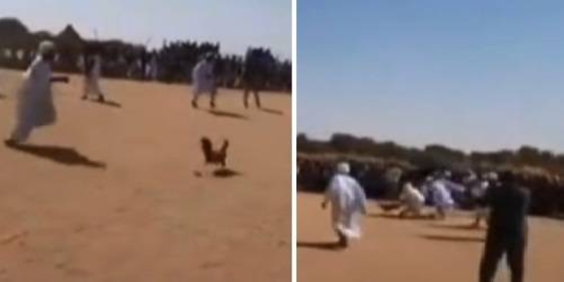 مقطع فيديو يظهر عدد من السودانيين وهم يتنافسون على اللحاق بـ 