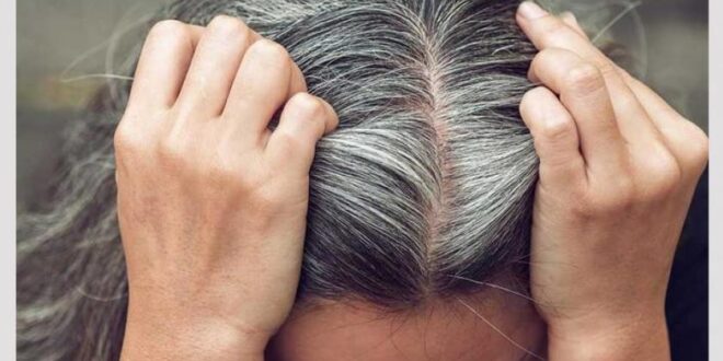 تعرف على سر ظهور الشعر الأبيض والكشف عن علامات الشيخوخة!